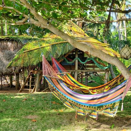 Derek'S Place Eco-Lodge جزيرة ليتل كورن المظهر الخارجي الصورة