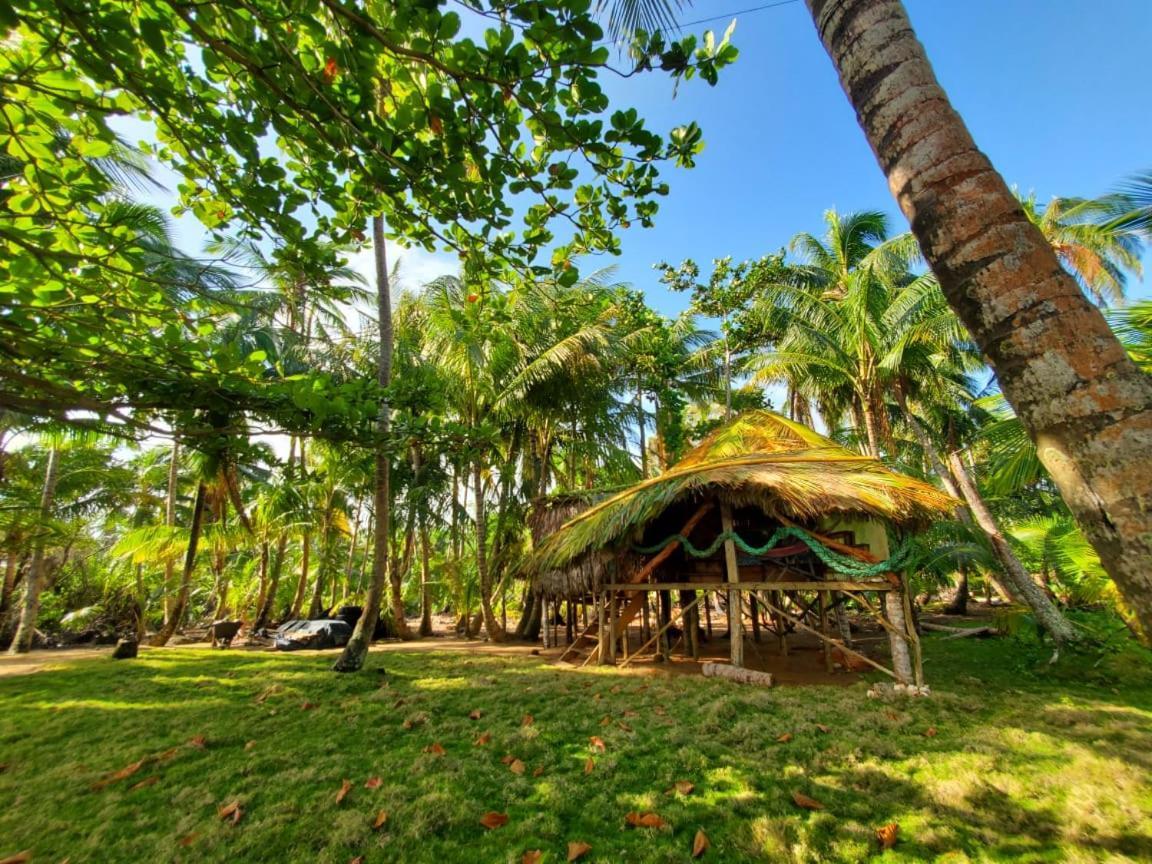 Derek'S Place Eco-Lodge جزيرة ليتل كورن المظهر الخارجي الصورة