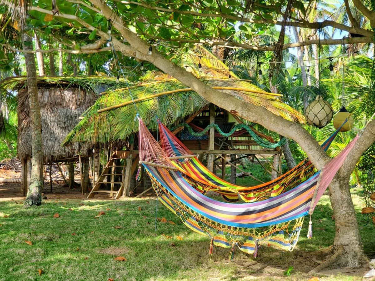 Derek'S Place Eco-Lodge جزيرة ليتل كورن المظهر الخارجي الصورة