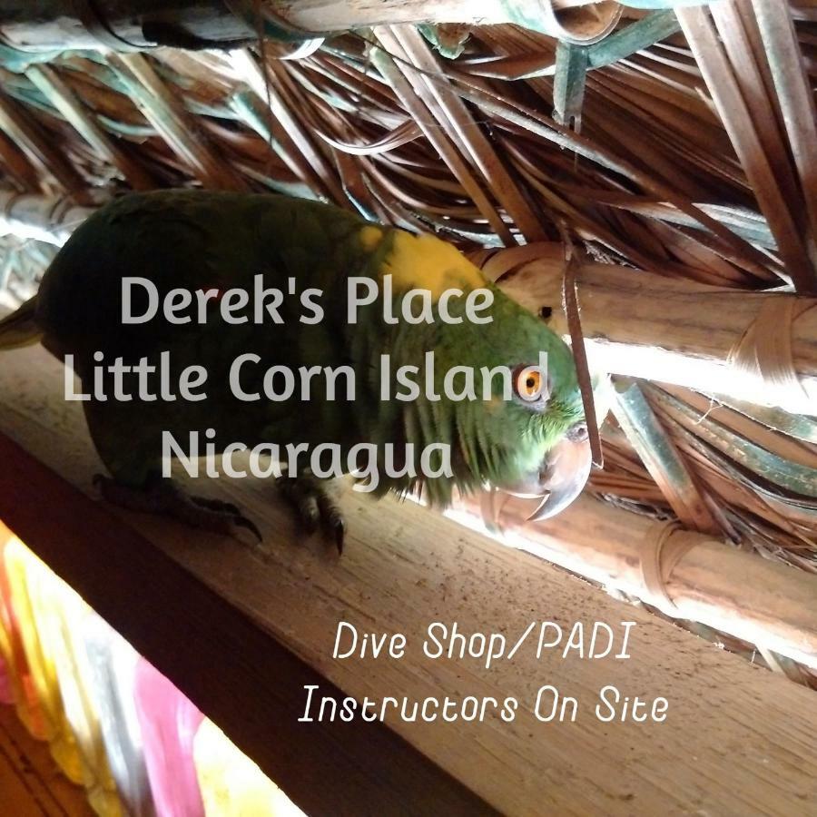 Derek'S Place Eco-Lodge جزيرة ليتل كورن المظهر الخارجي الصورة